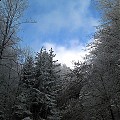Bieszczadzka zima...#2